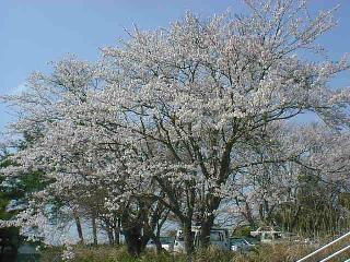 �ԉH���H�����3