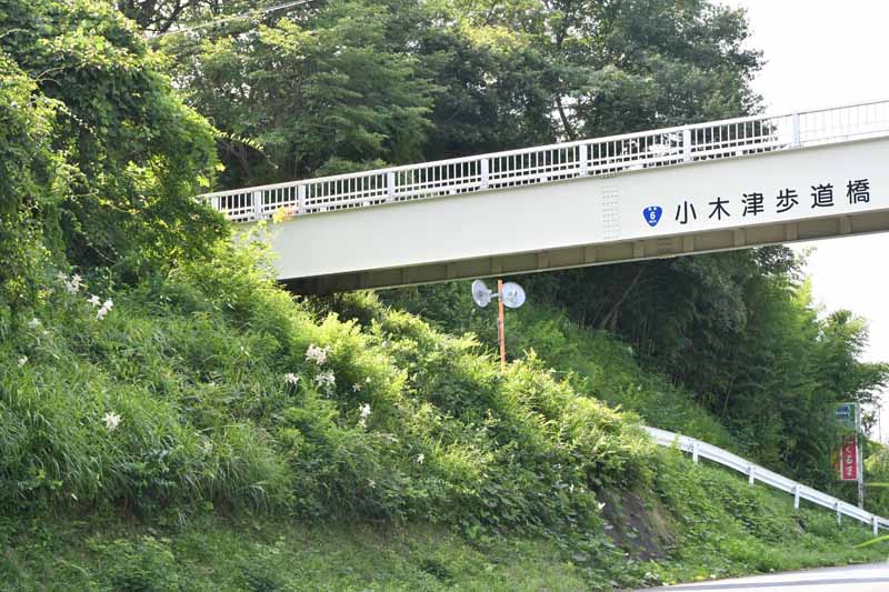 石尊山登山口