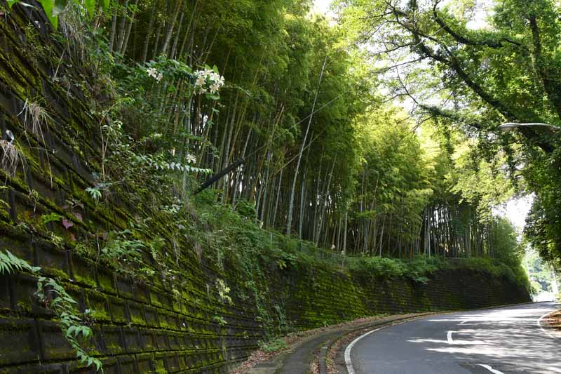 つくしんぼ保育園付近