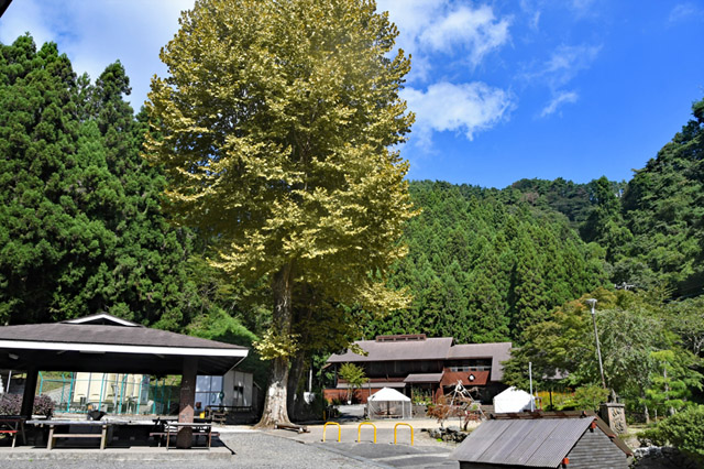 せせらぎとの語らい 上諏訪山荘