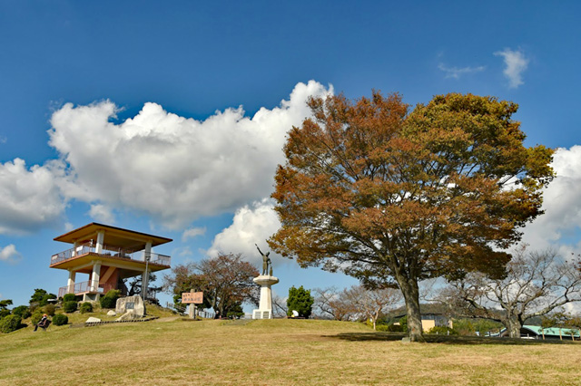 日立かみね公園頂上