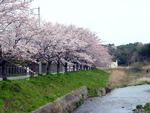 橋の上から見た十王川上流方面