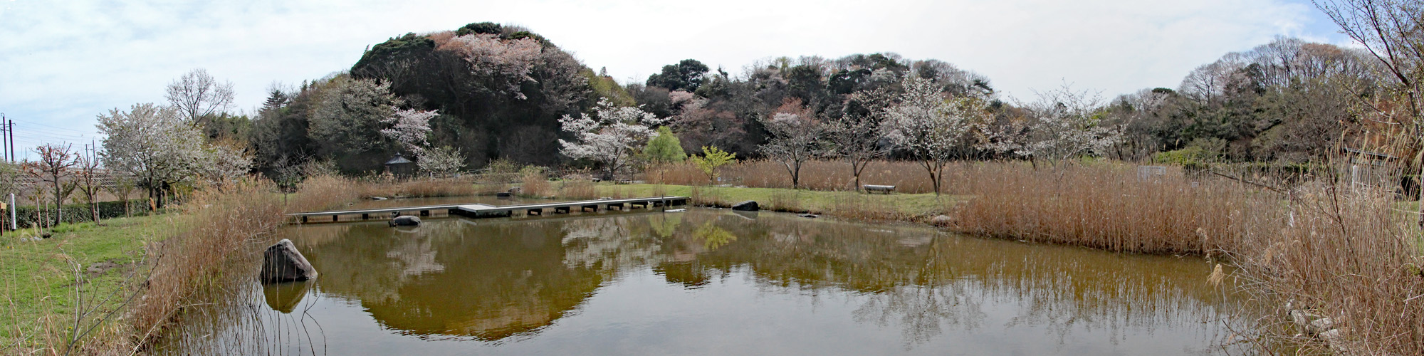 赤羽緑地公園全景