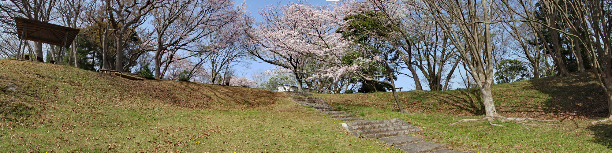 日立商業高校から日立研究所