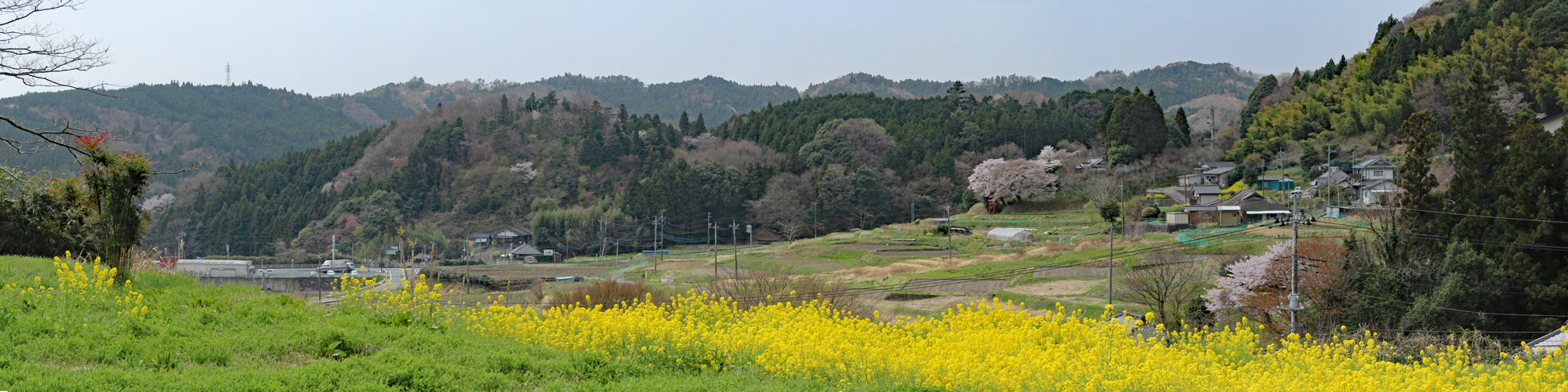 棚田・油ケ崎