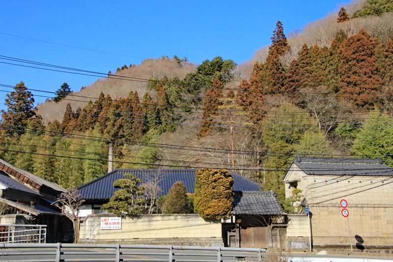 椎名酒造店全景