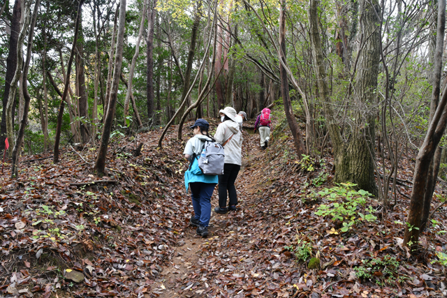 登山道