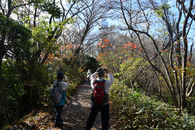 山頂近く