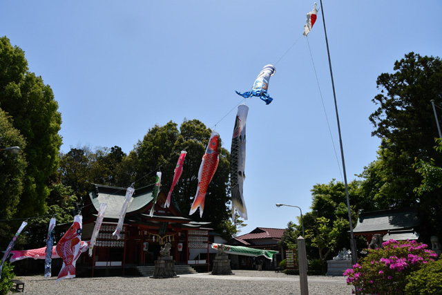 助川鹿島神社の鯉のぼり