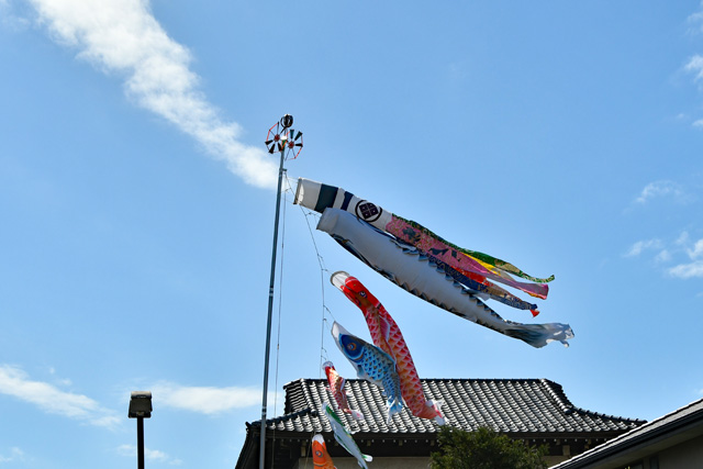 相賀町の鯉のぼり